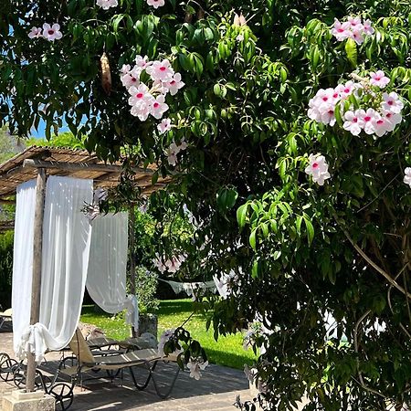 Masseria Casina Montana Corigliano dʼOtranto Exteriér fotografie
