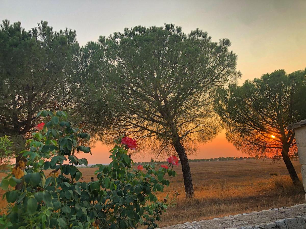 Masseria Casina Montana Corigliano dʼOtranto Exteriér fotografie