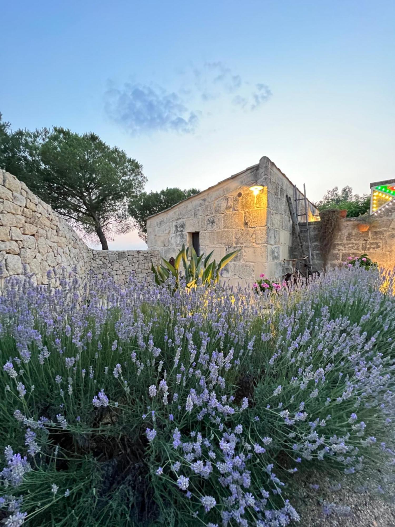 Masseria Casina Montana Corigliano dʼOtranto Exteriér fotografie