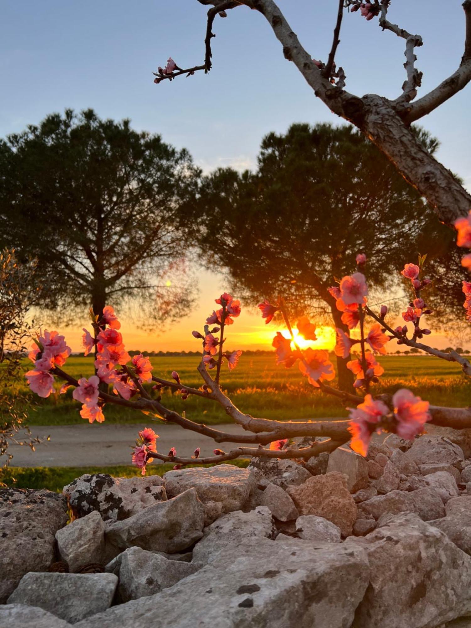 Masseria Casina Montana Corigliano dʼOtranto Exteriér fotografie