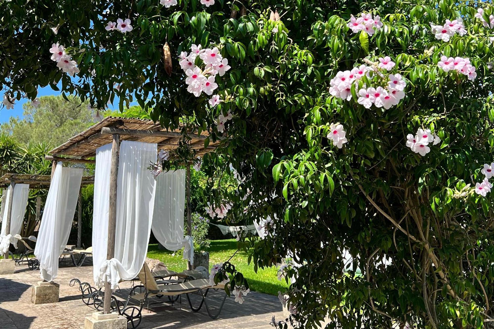 Masseria Casina Montana Corigliano dʼOtranto Exteriér fotografie